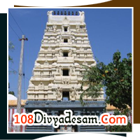 vadanadu divya desam tour operators from guruvayur